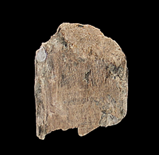 Spodumene, Walnut Hill Pegmatite, Huntington, Hampshire County, Massachusetts